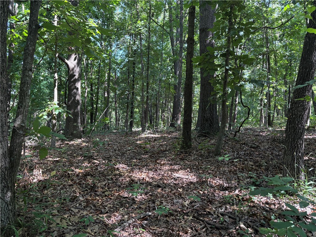Property Photo:  Arabian Drive Lot 184  AR 72756 