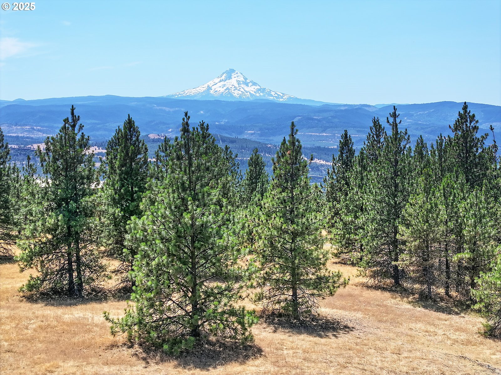 Property Photo: 4 Murdock Rd WA 98635