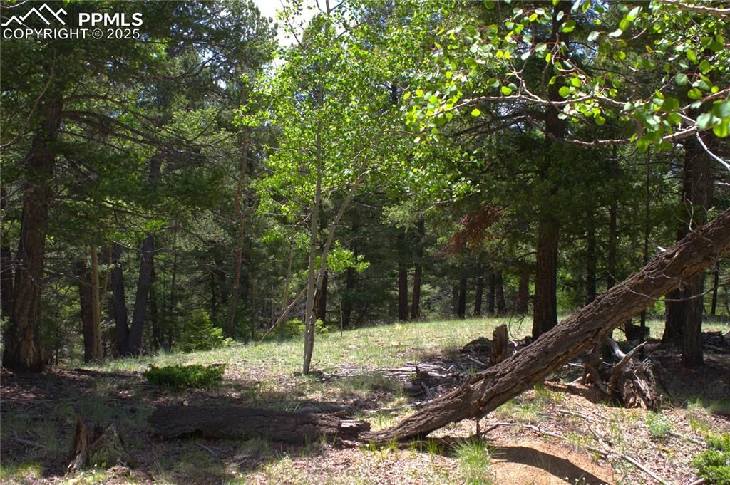 Property Photo:  185 Cherry Lake Drive  CO 80814 