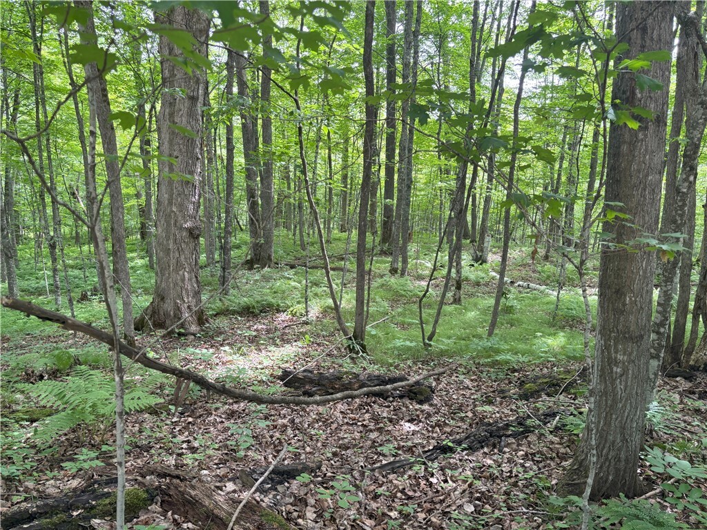 Property Photo:  0 29 1/2 Avenue Street  WI 54817 