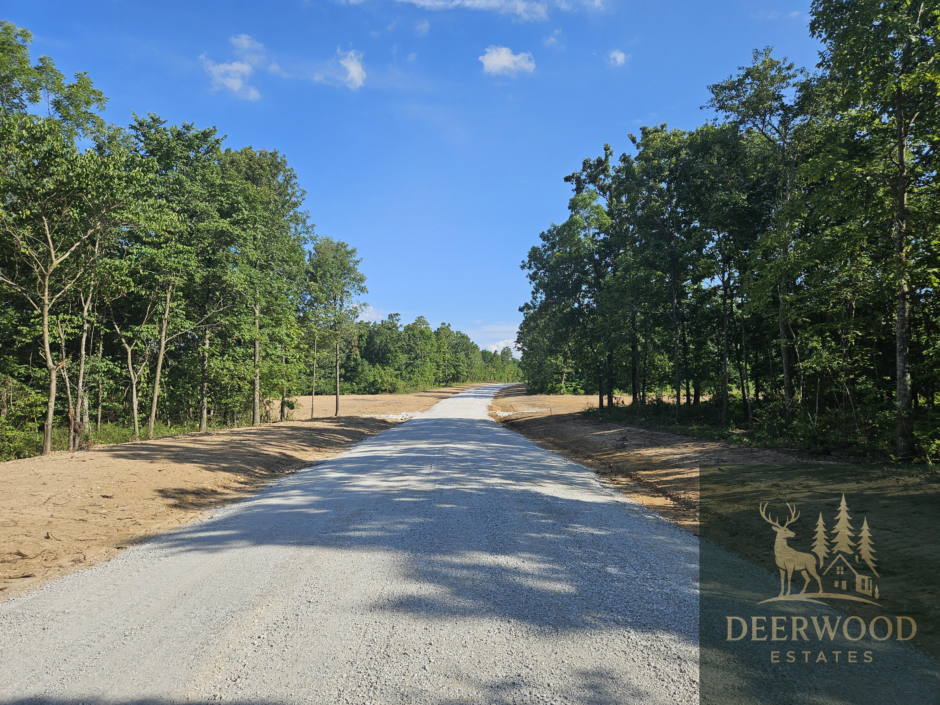 Lot 9 Deerwood Estates  Aurora MO 65605 photo