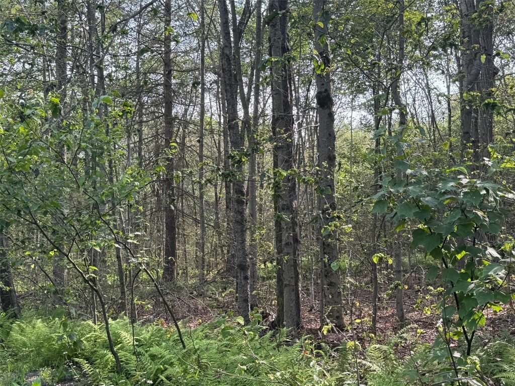 Property Photo: 264 E Bosket Road NY 13865