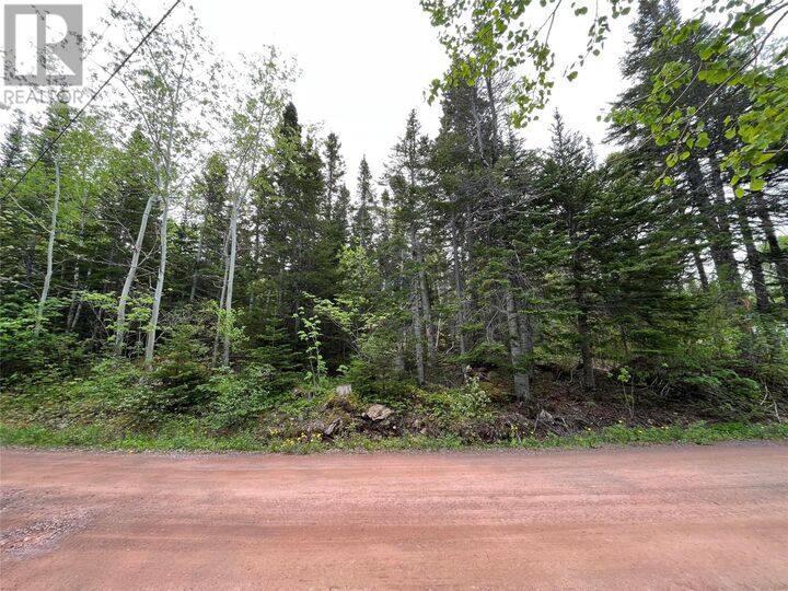 Property Photo:  113 Askels Cove Road  NL A0H 1Z0 