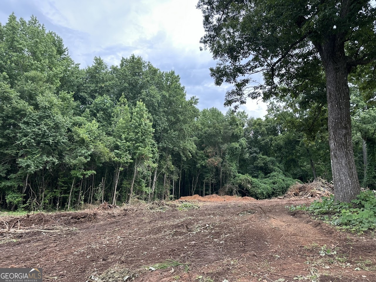 Property Photo: 3182 County Road 61 AL 36274