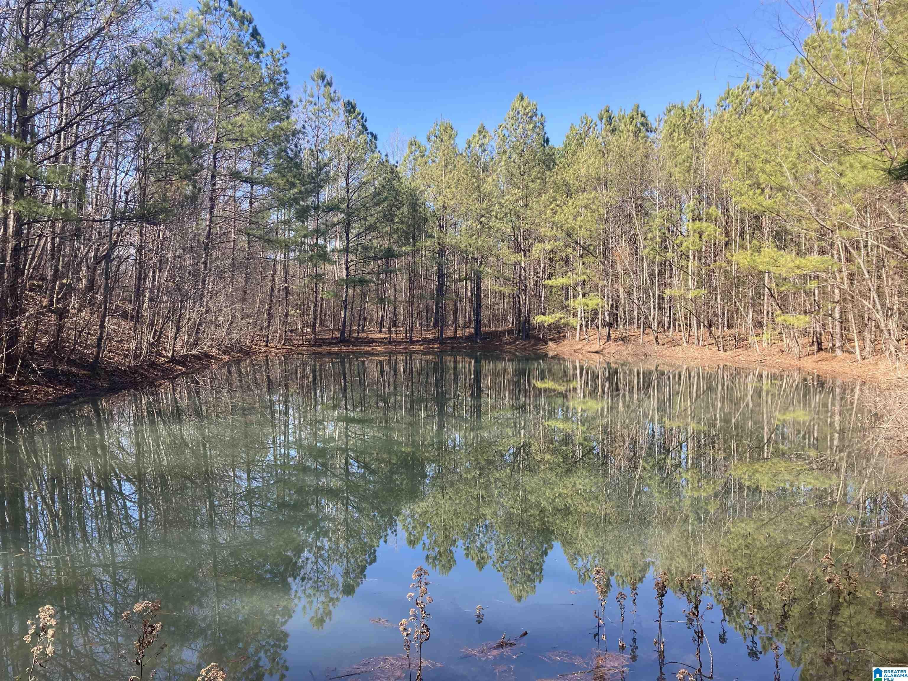Property Photo:  143 Rocky Hollow Lane 0  AL 36272 