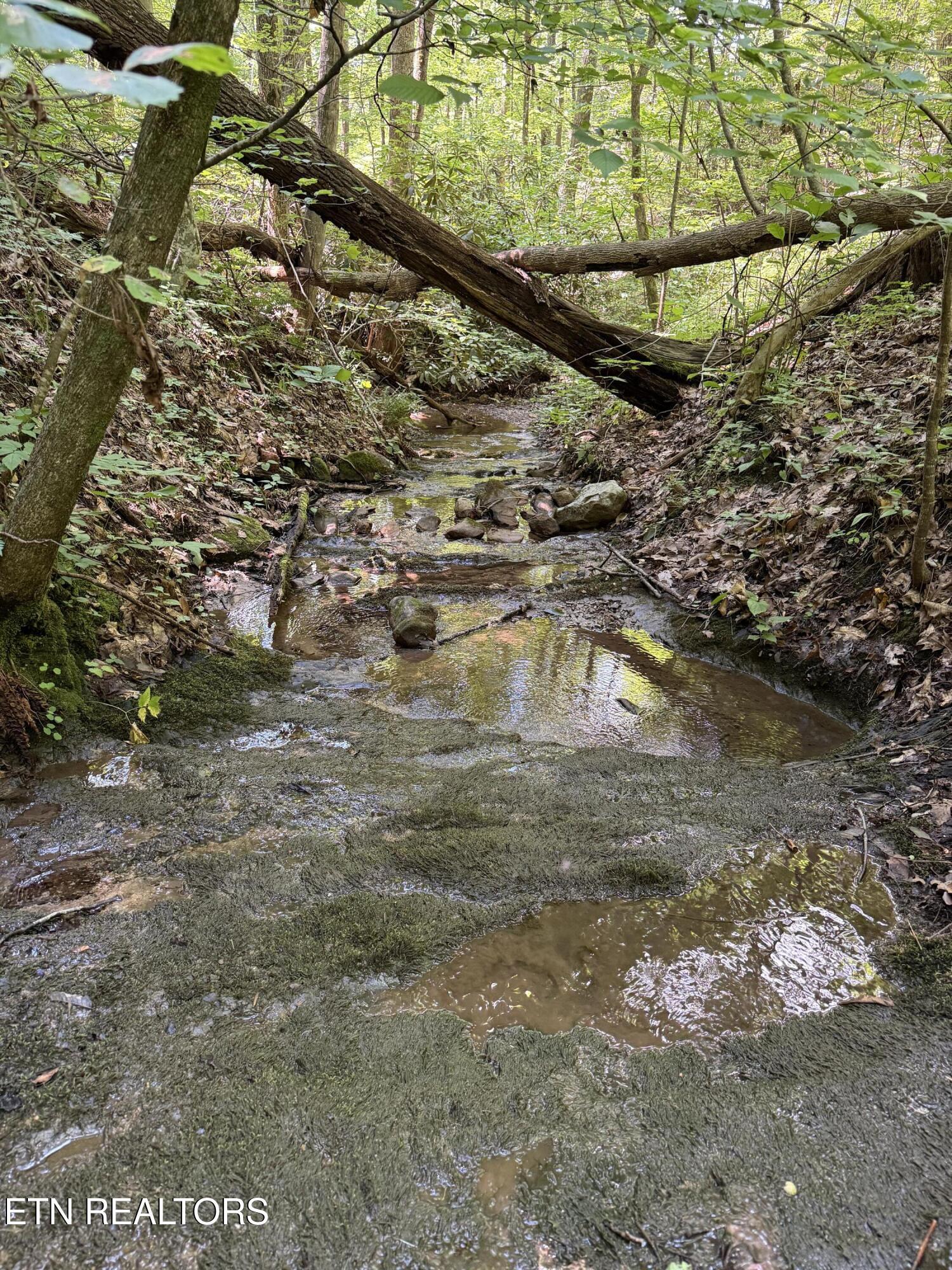 Property Photo: 0 Goose Creek Rd TN 37865