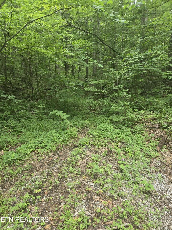 Property Photo: Prospect Rd TN 37869