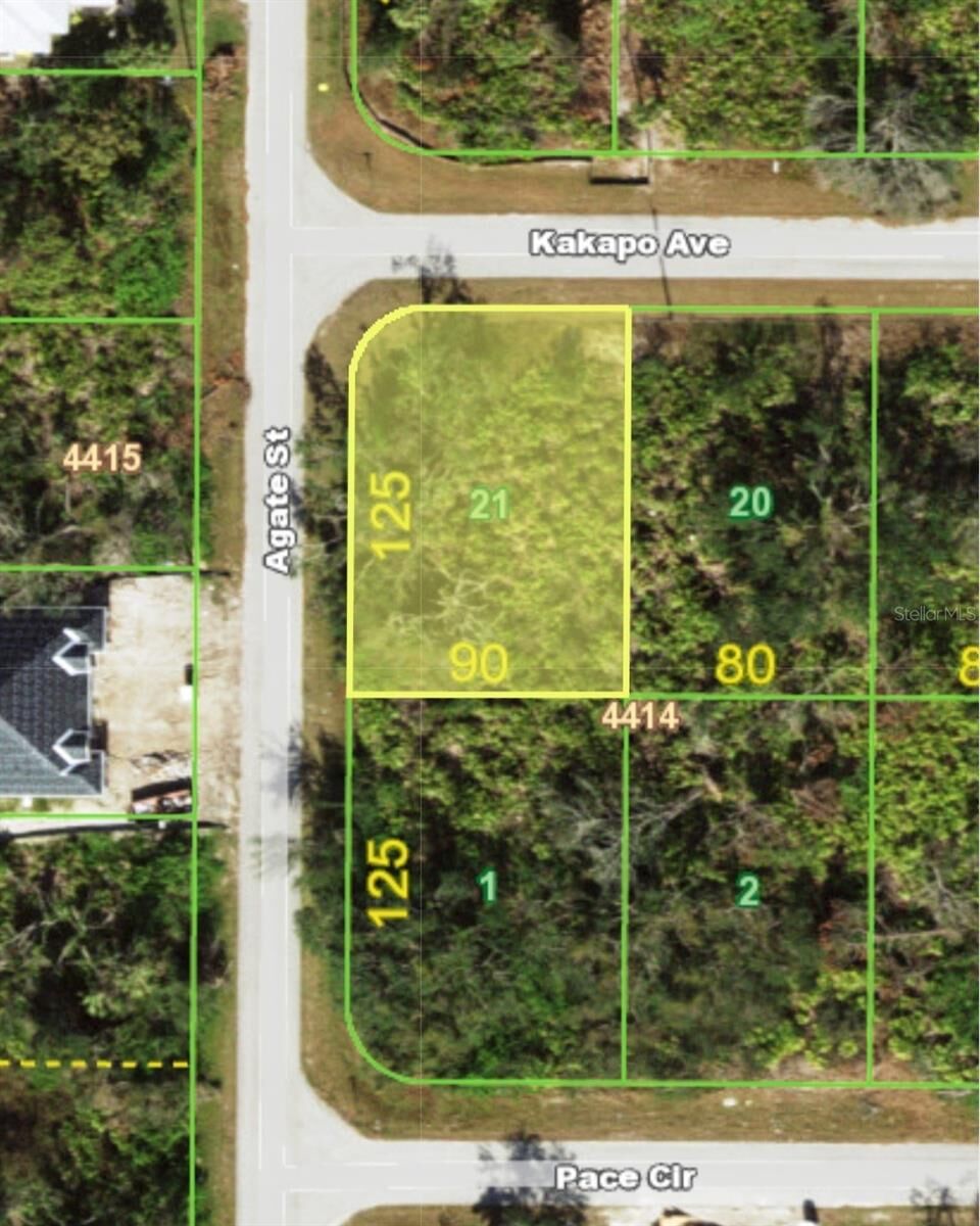 Property Photo:  13147 Kakapo Avenue  FL 33981 