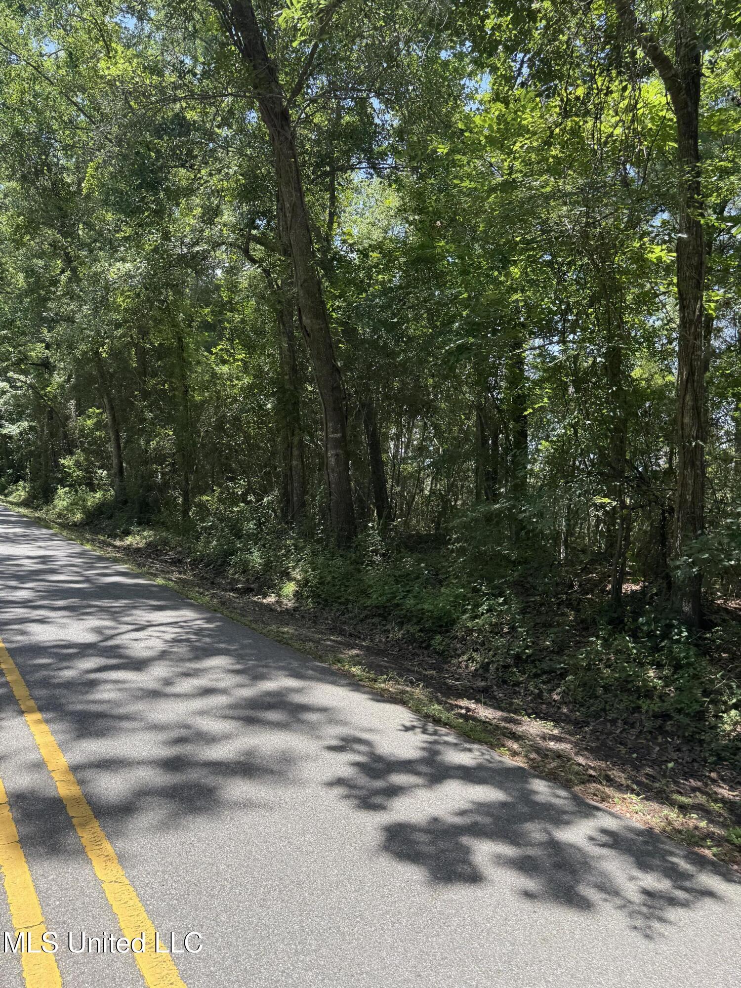 Property Photo:  Nhn North St Lot 5  MS 39564 