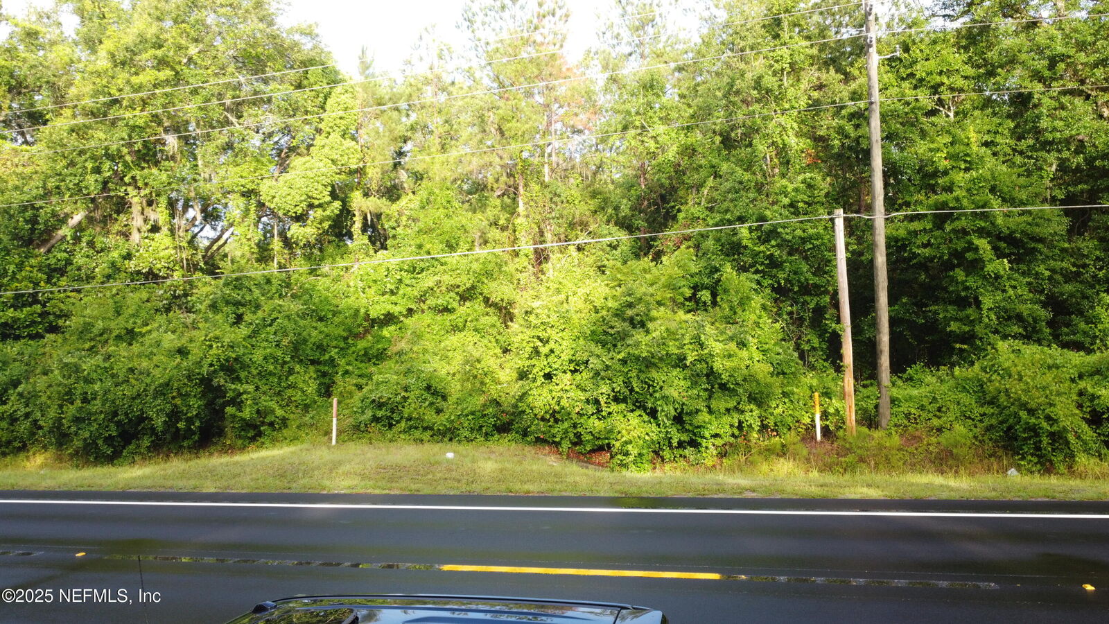 Property Photo:  0 N US Highway 441  FL 32055 