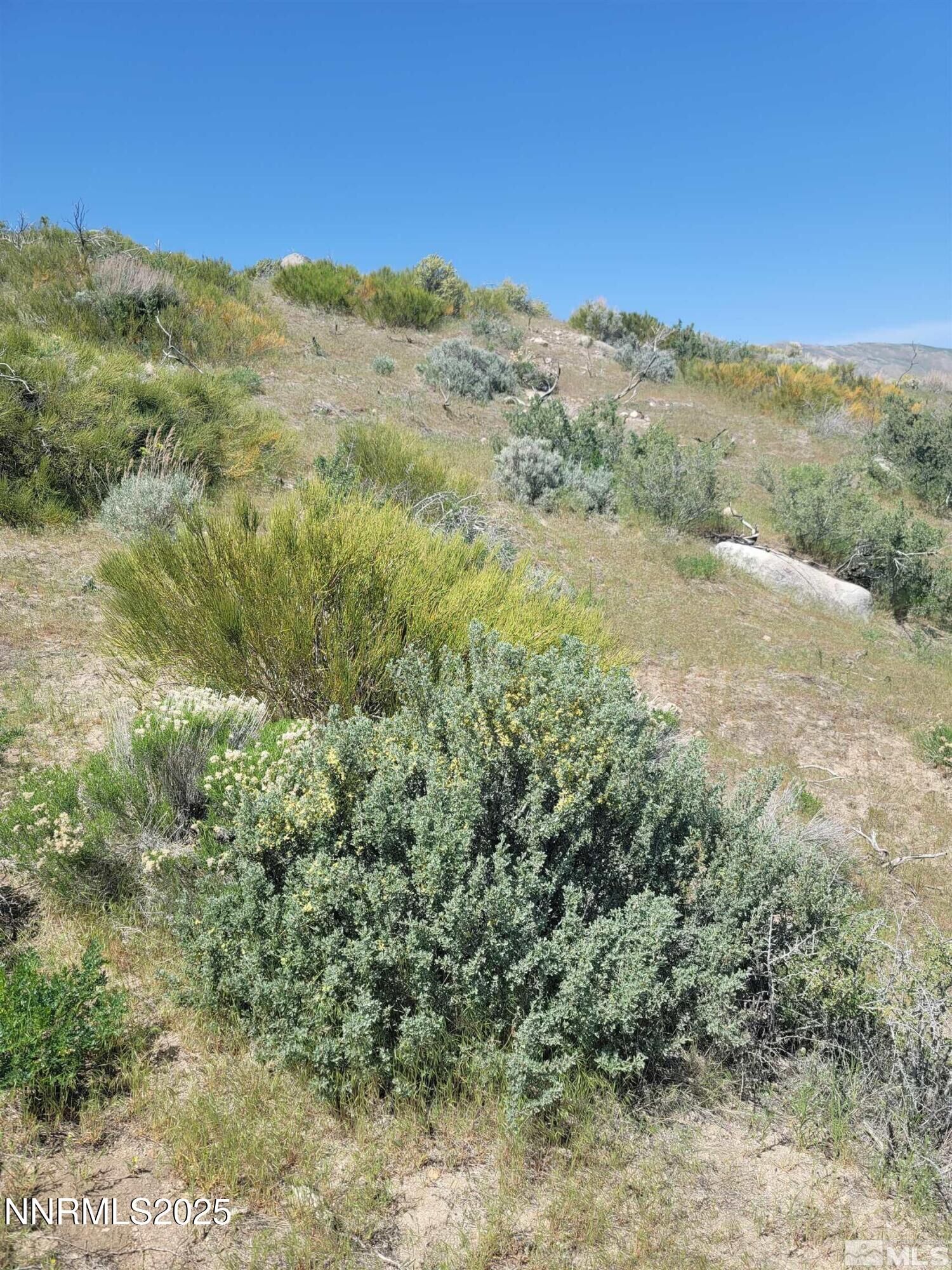 Property Photo:  525 Prairie Dog  NV 89508 