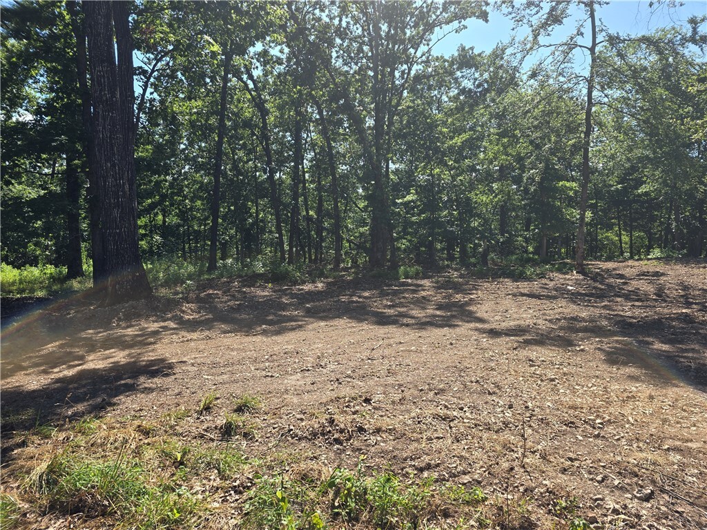 Property Photo:  Esculapia Hollow Road Lot 15  AR 72758 