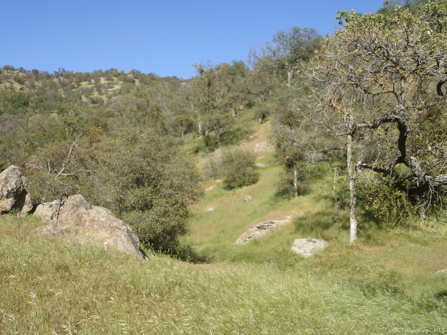 Property Photo: 0 Jack Springs Road CA 93561