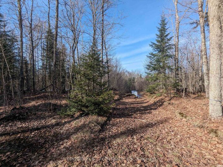 Property Photo:  11146 Highway 118 N/A  ON K0M 1J1