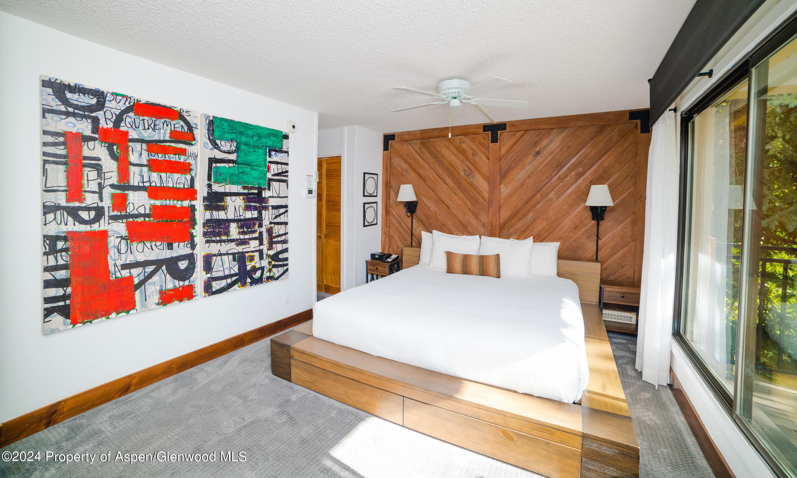 300 Carriage Way 301  Snowmass Village CO 81615 photo
