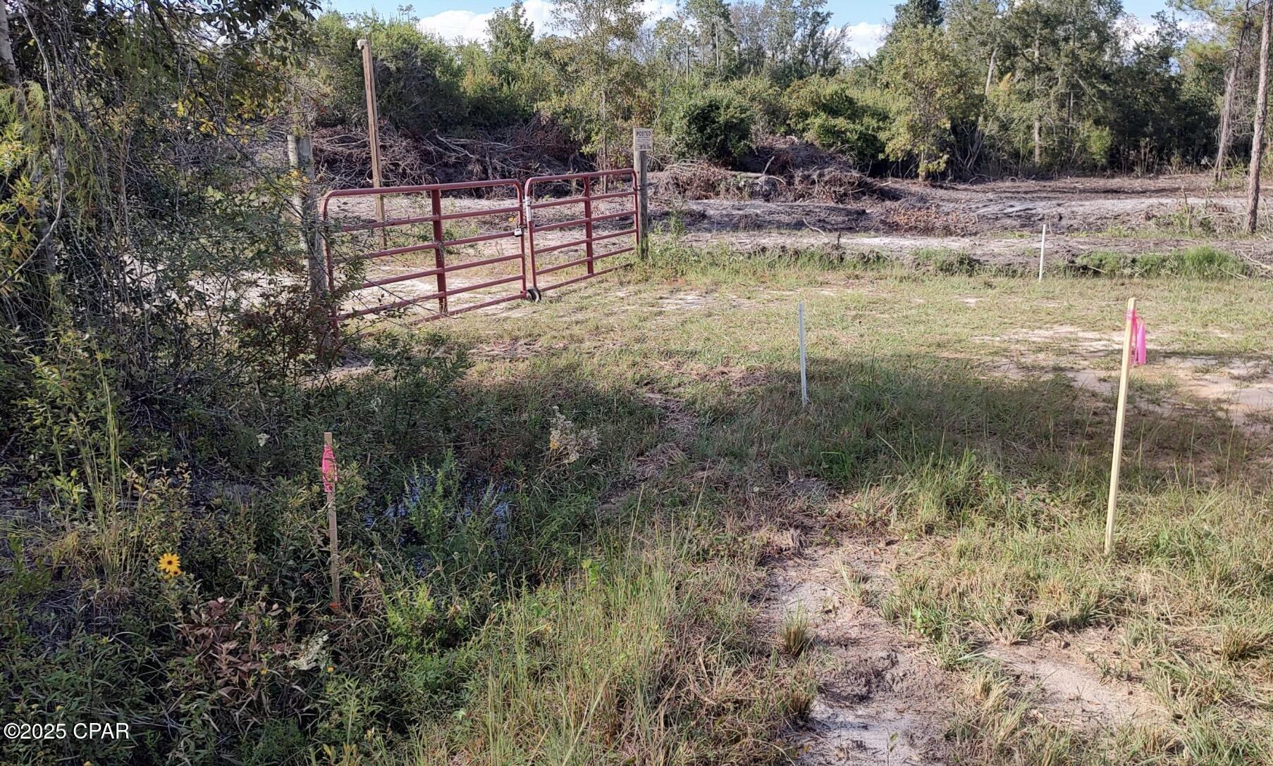 Property Photo:  00 Olivia Street  FL 32438 