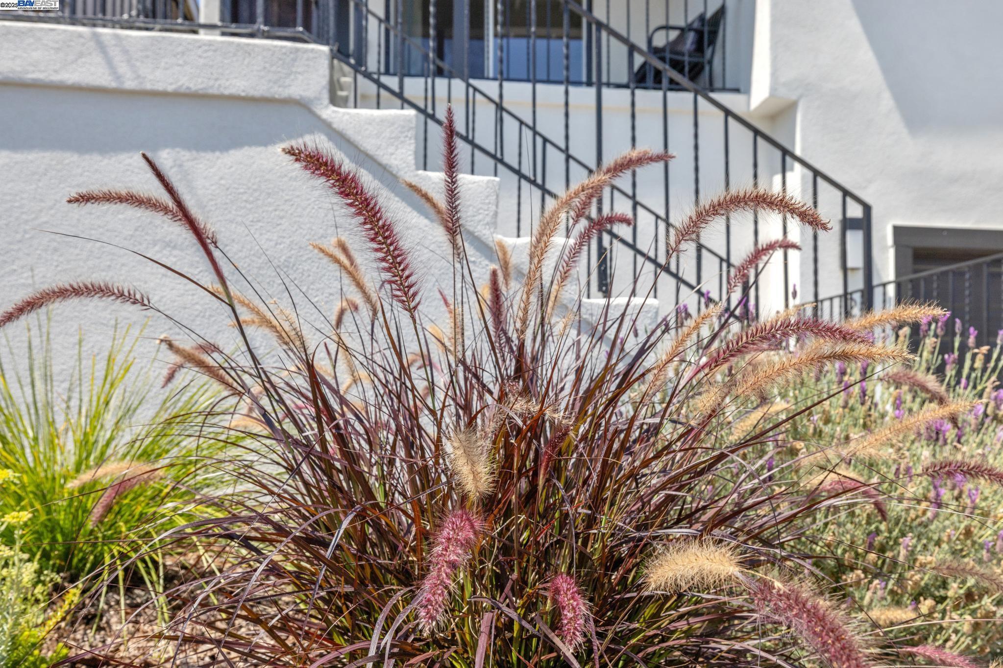 Property Photo: 2643 99th Ave CA 94605