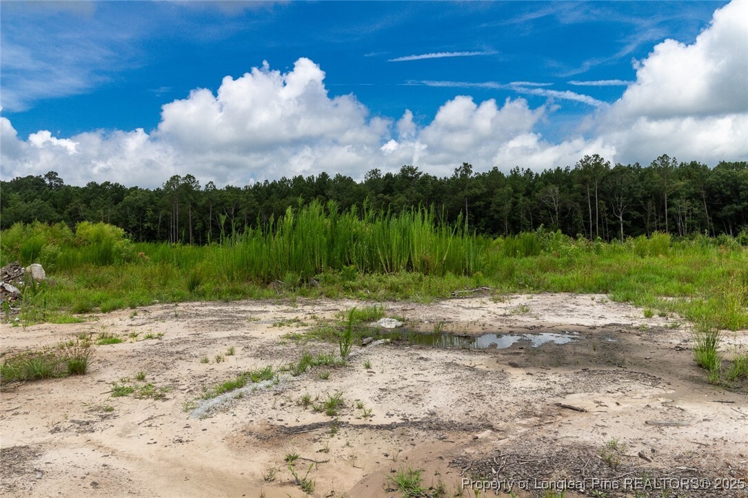 Property Photo: Meadow Road NC 28358
