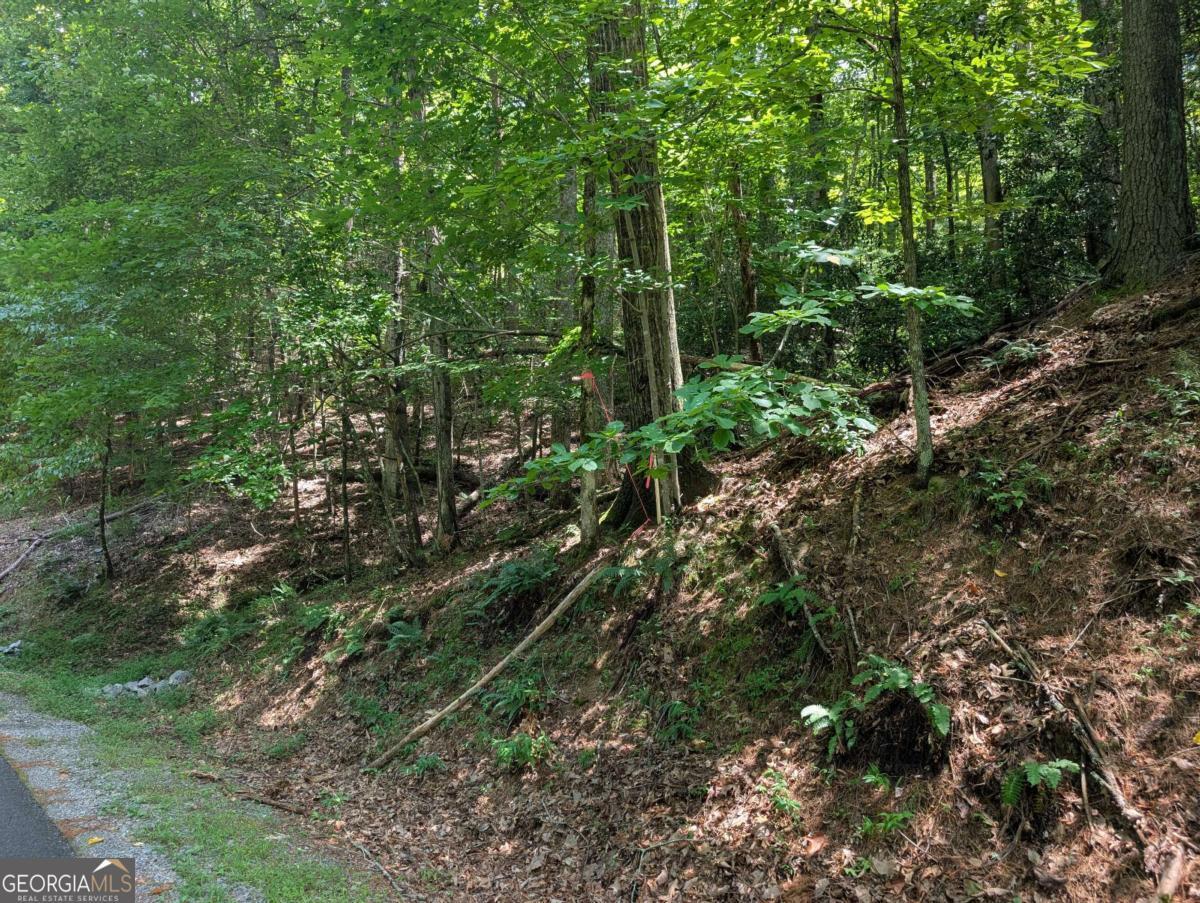 Property Photo: Lot P1 Goldmine Drive GA 30536