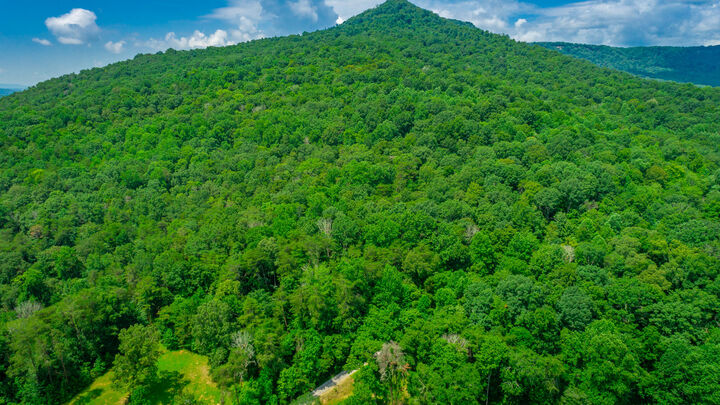 Property Photo:  755 Priest Avenue  TN 37347 