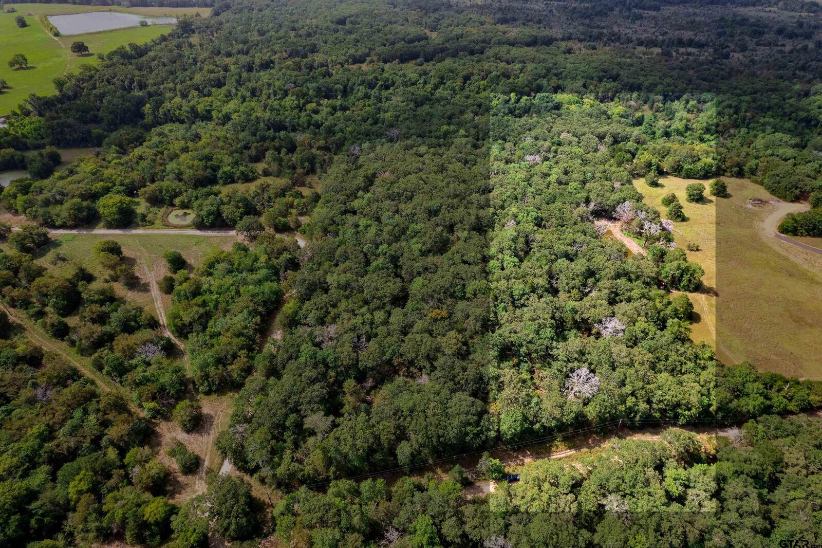 Property Photo:  Lot Cr 1138  TX 75433 