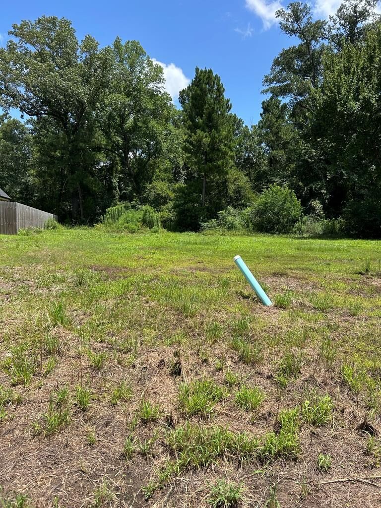 Property Photo: R143736 (Lot13) Dena Kay Drive TX 74904