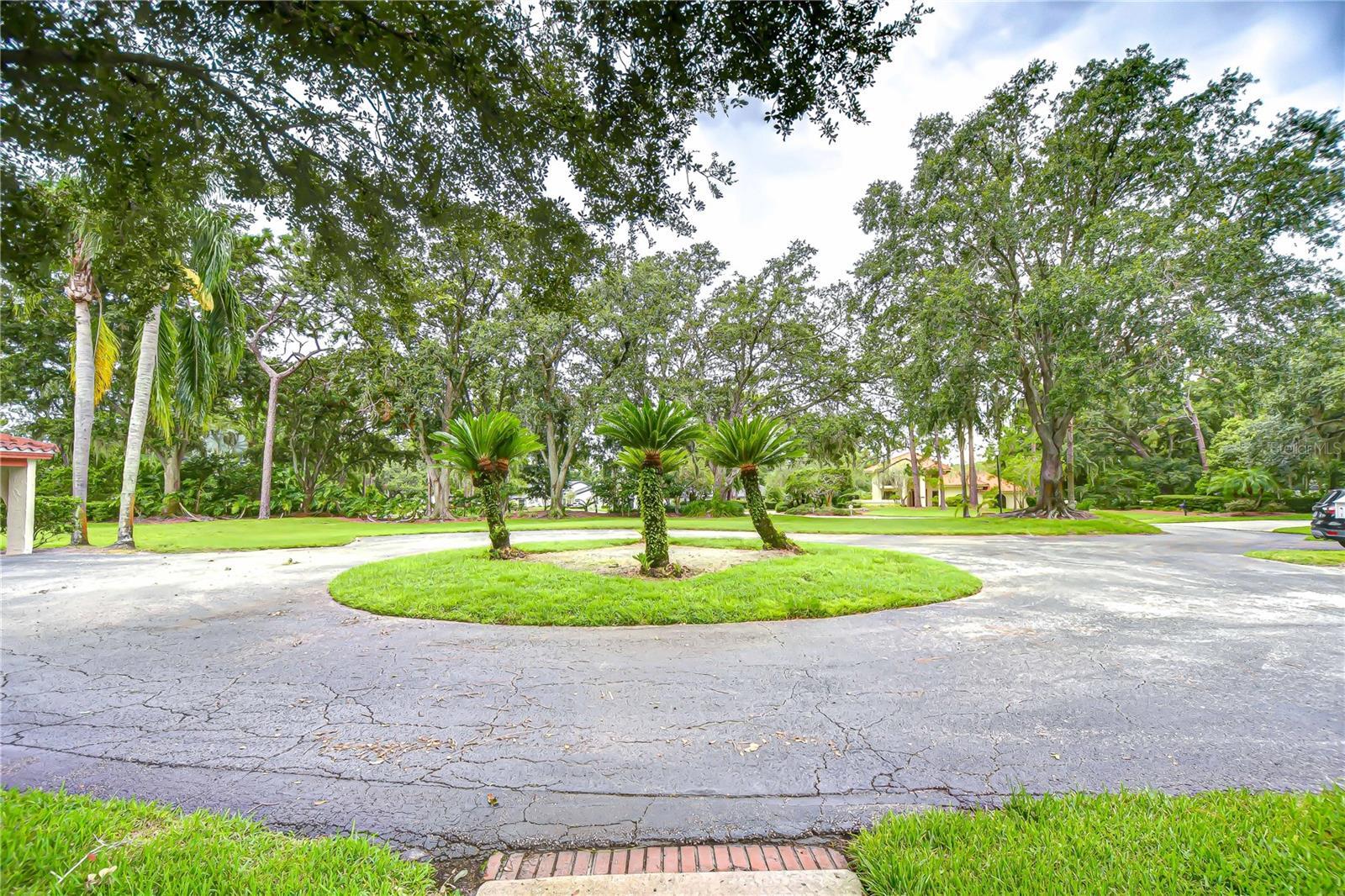 Property Photo: 5352 Saddlebrook Way 4 FL 33543