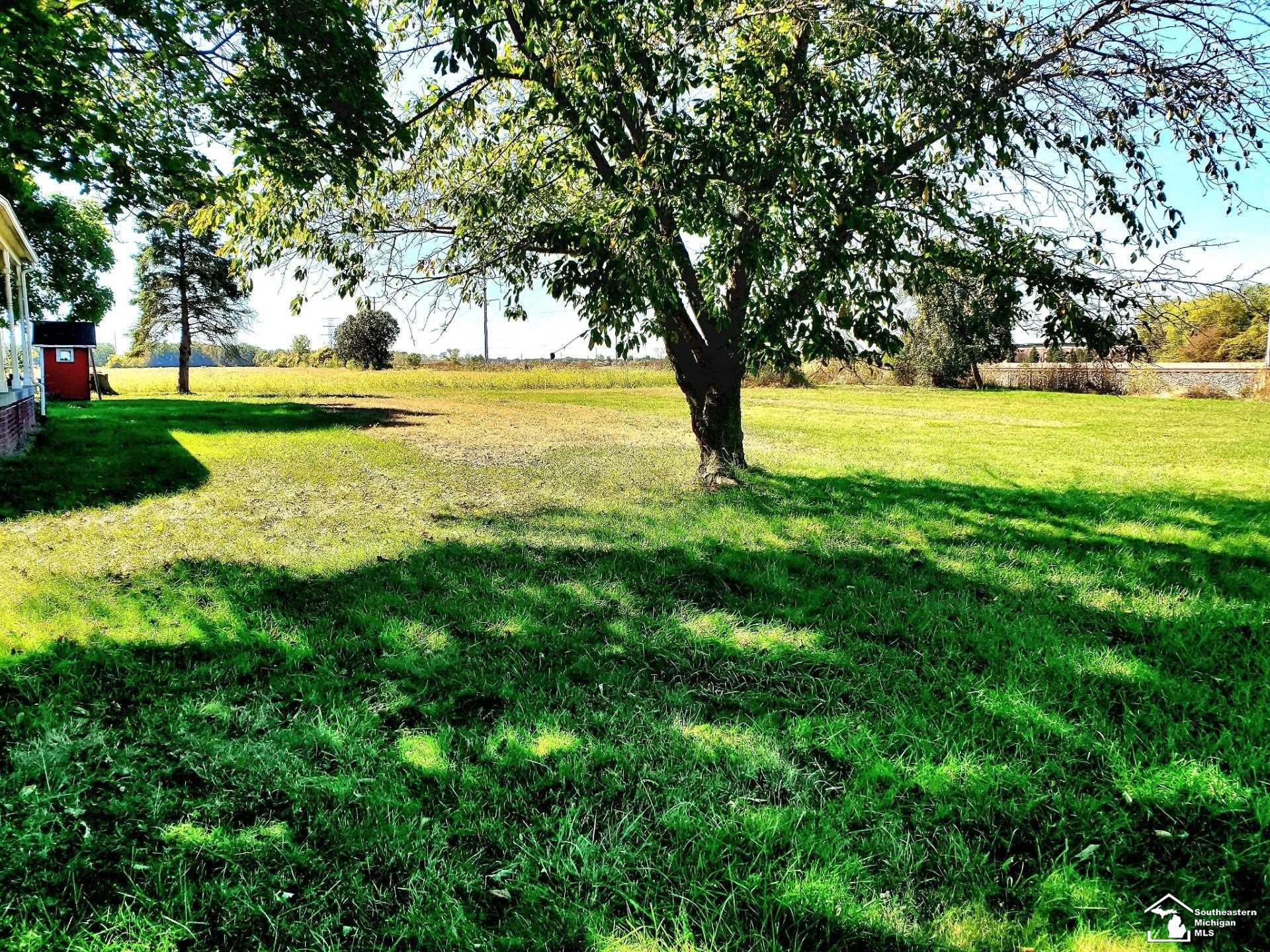 Property Photo:  5889 E Albain Road  MI 48161 