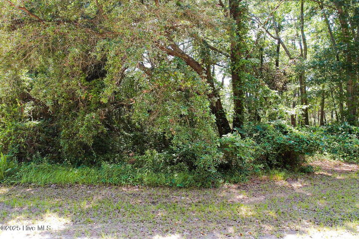 Property Photo:  1705 5 Long Shore Drive SW  NC 28470