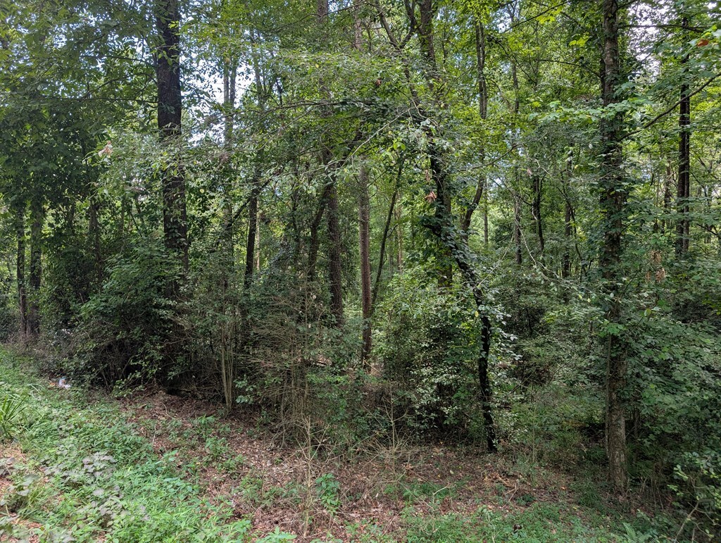 Property Photo: Lot 194 Shenendoa Drive GA 30540