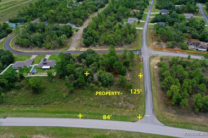 Property Photo:  2595 W Chamberlain Street  FL 34434 