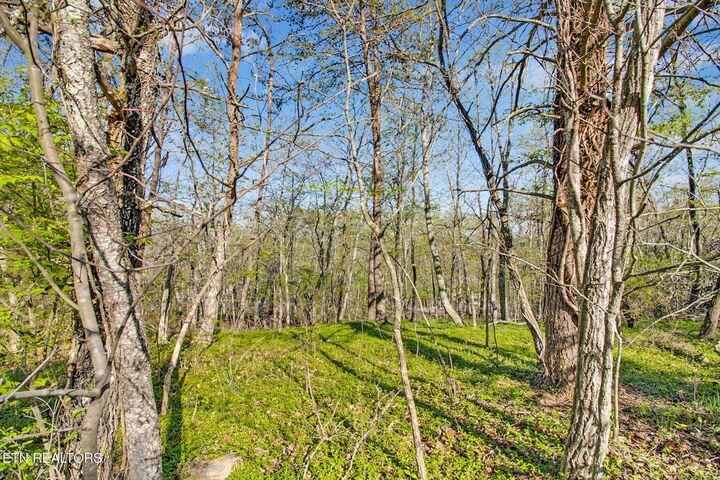 Property Photo:  165 Brokenwood Lane  TN 38558 