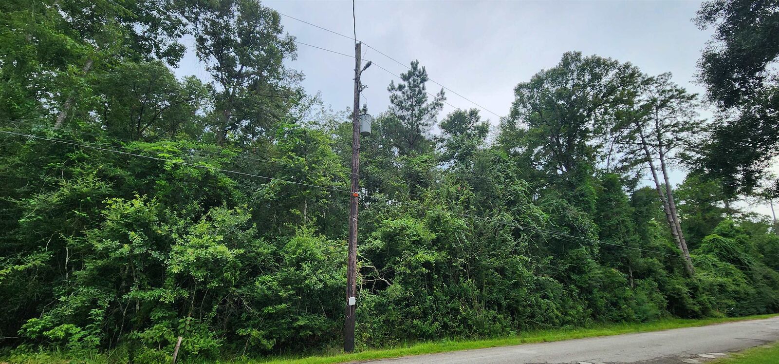Property Photo:  1790 Old Nona Rd  TX 77625 