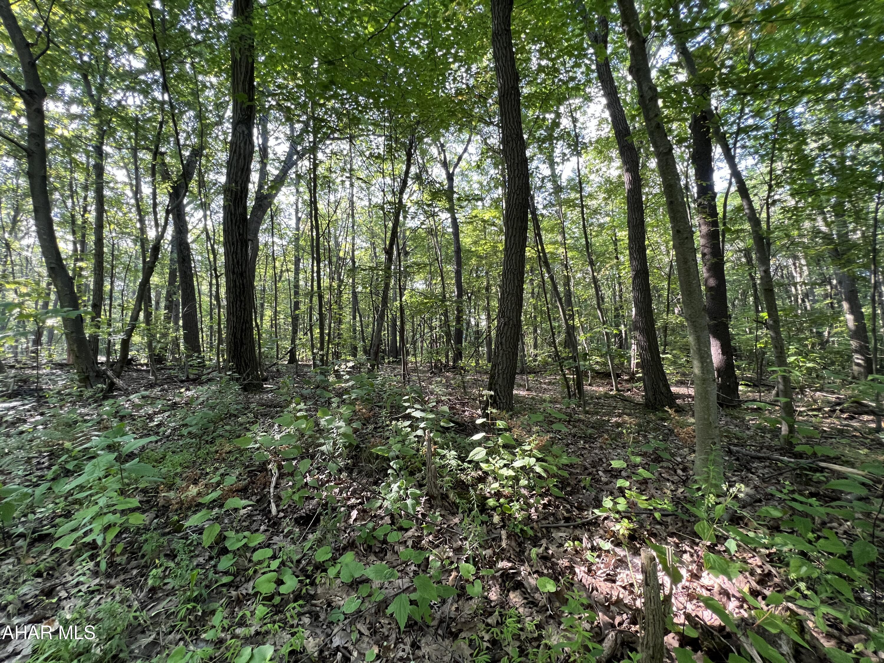 Property Photo: 117 &Amp 118 Kittanning (Overland Pass) Run PA 16625