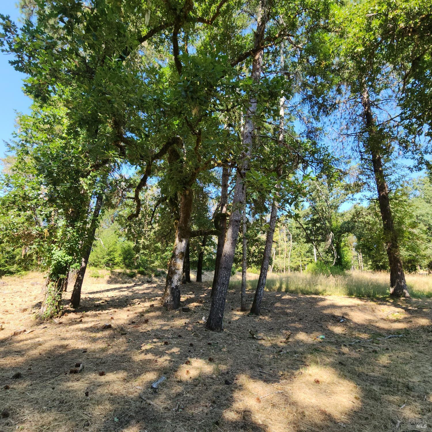 Property Photo:  25331 Sherwood Road  CA 95490 