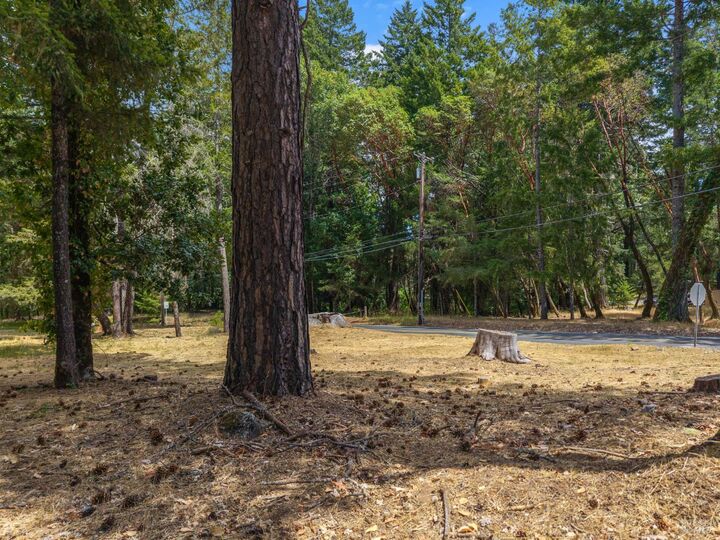 Property Photo: 25331 Sherwood Road CA 95490