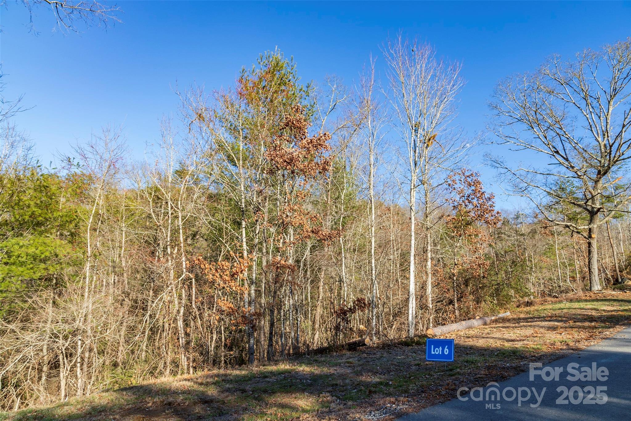 Property Photo: 112 Saddle Ridge Drive 6 NC 28701