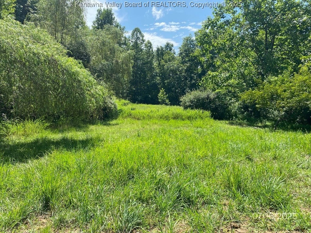 Property Photo: 1232 Left Fork Joels Branch Road WV 25517
