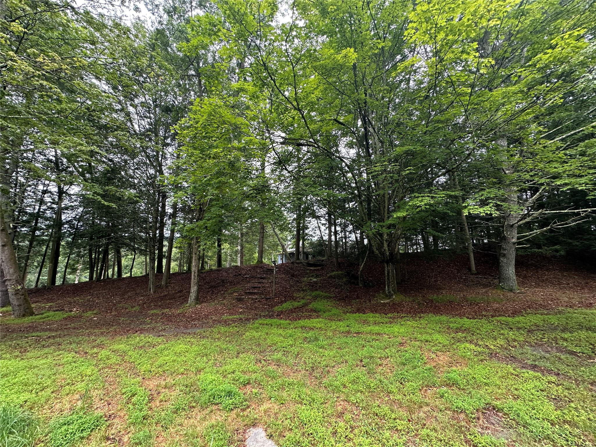 Property Photo:  2139 State Route 97  NY 12770 