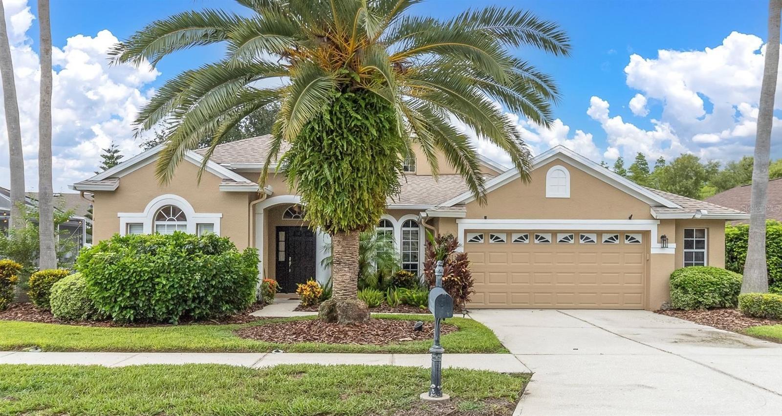 8729 Torchwood Drive  Trinity FL 34655 photo