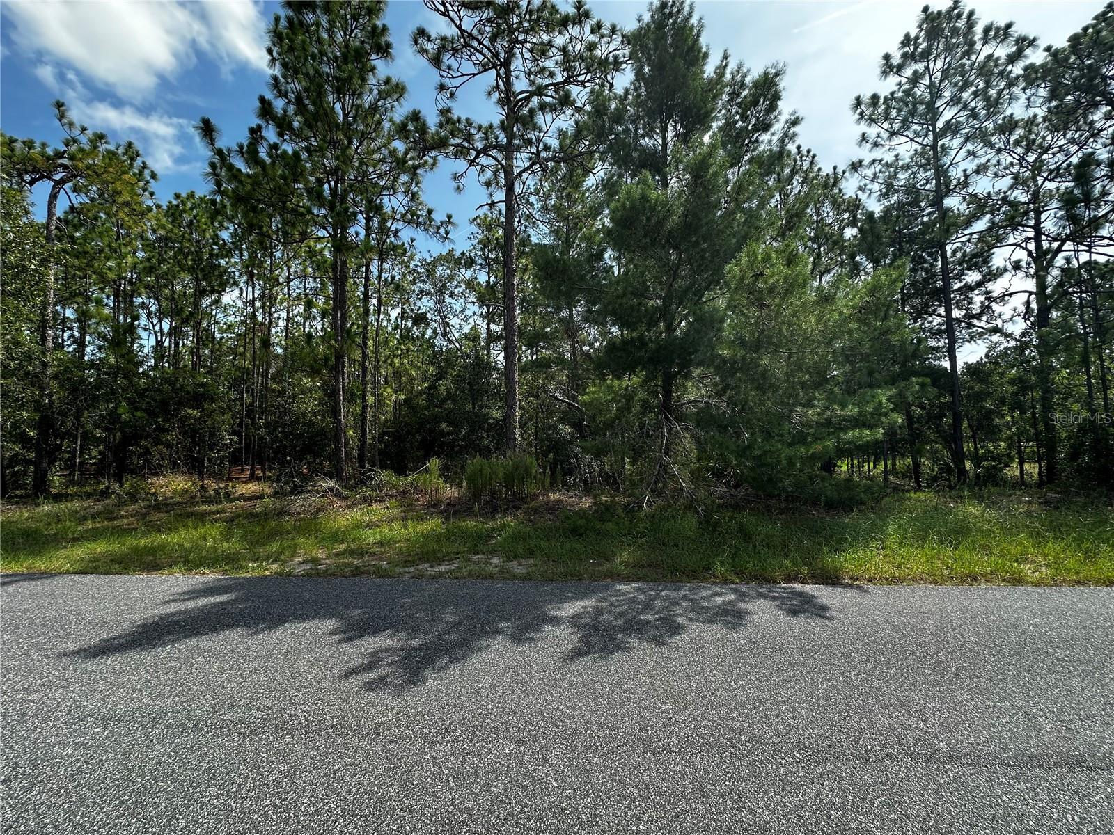 Property Photo:  5543 W Buckskin Drive  FL 34465 