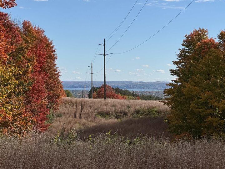 Property Photo: 4.2 Acres January Drive MI 49684