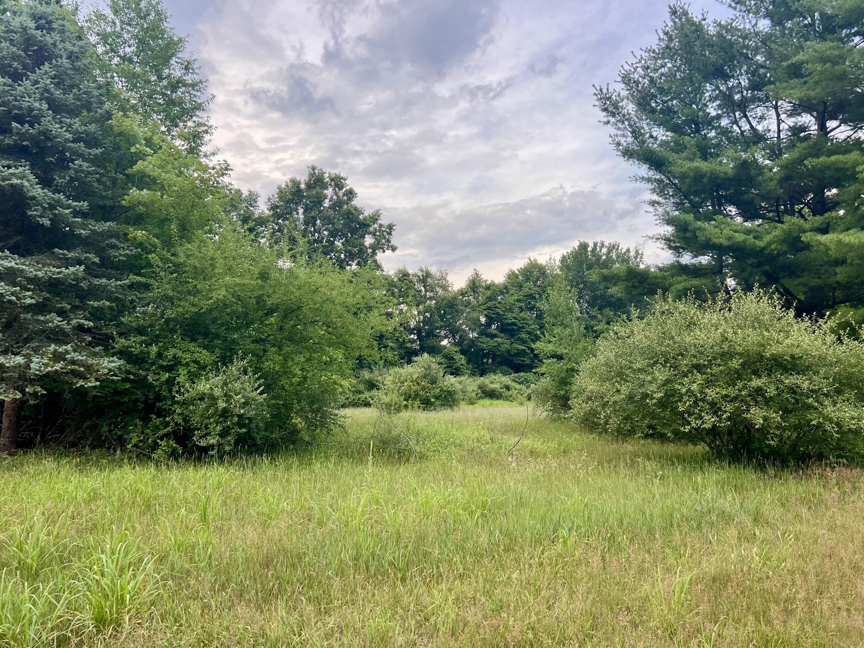 Property Photo: 1143 38th Street MI 49010