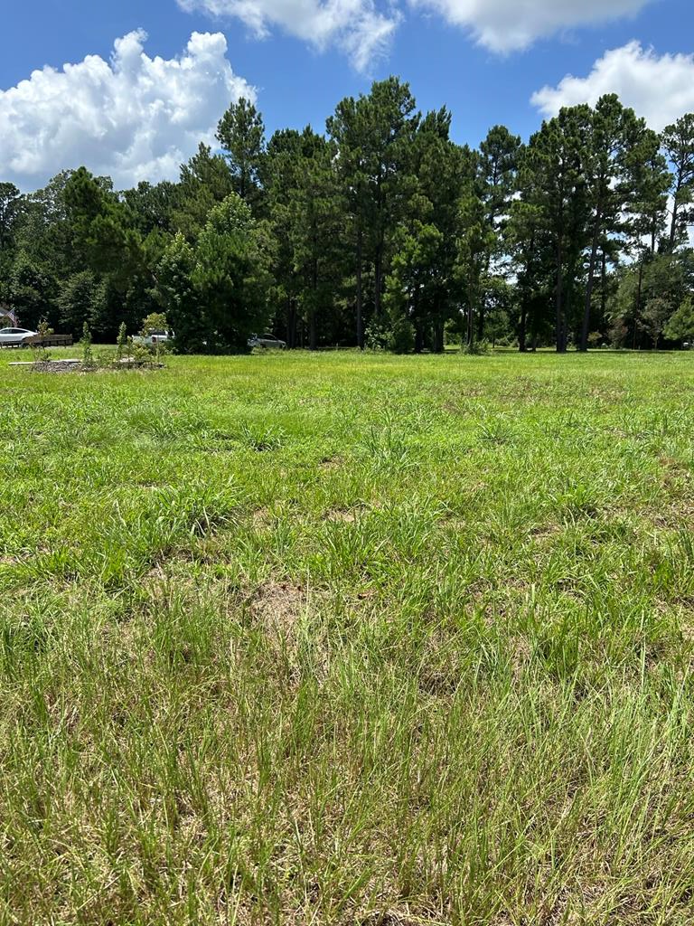 Property Photo: R143749 Dena Kay Dr TX 75904