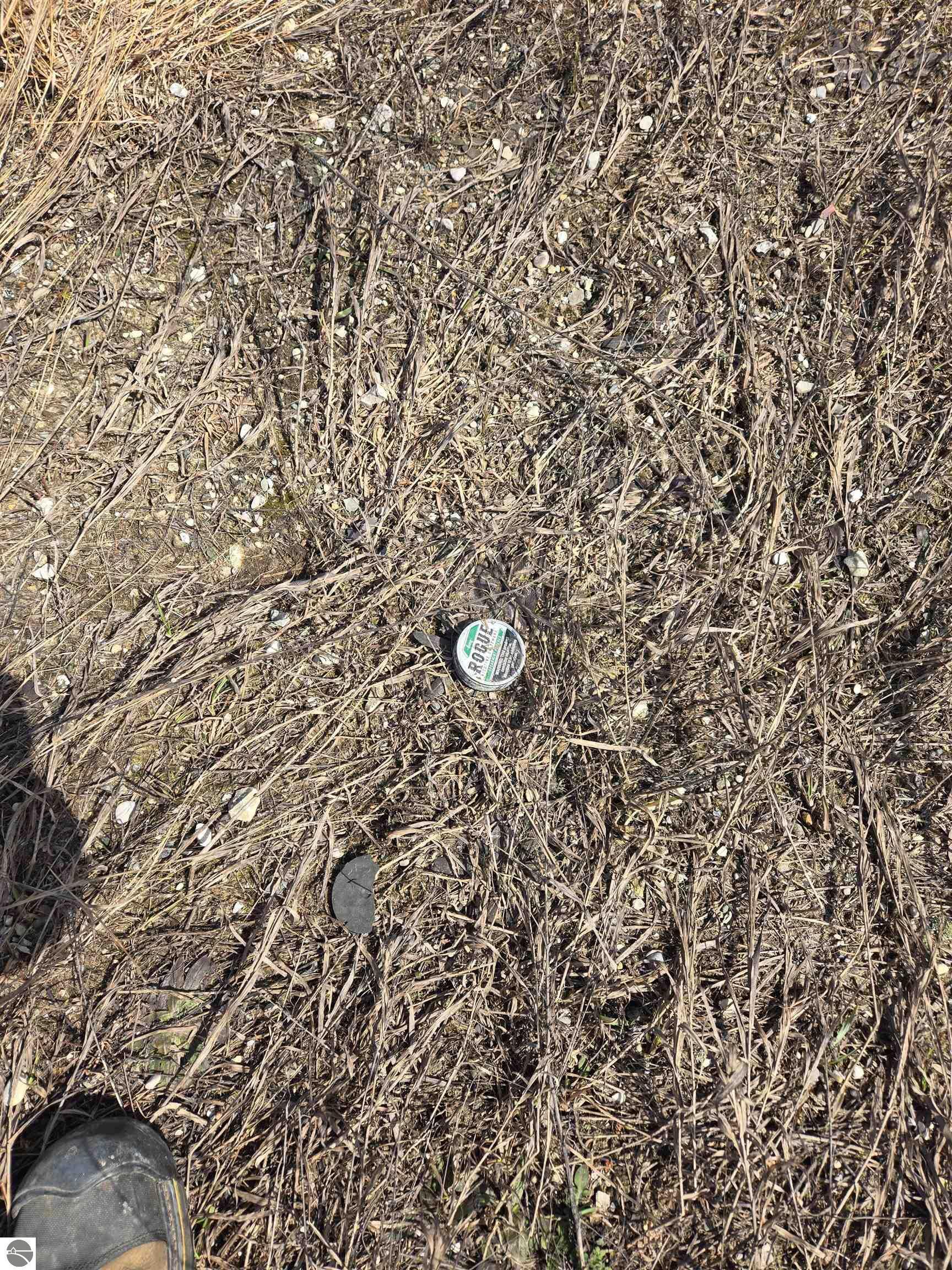 Property Photo:  D Johnson Road  MI 49659 