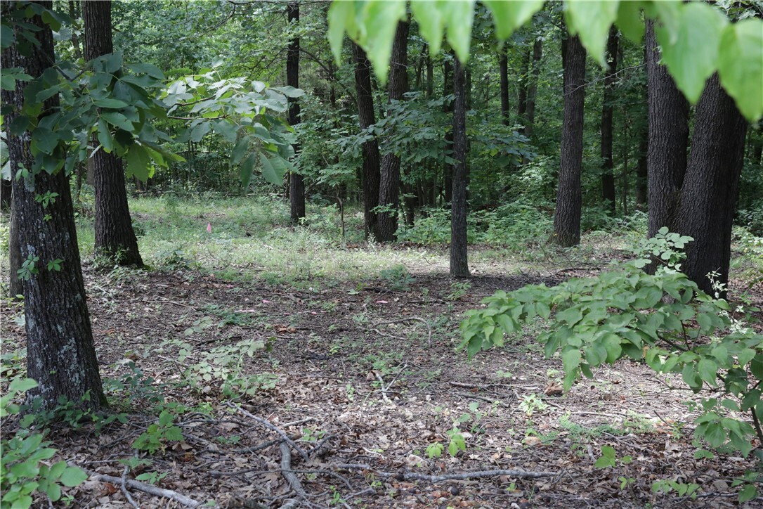 Lot 34, Block 3 Runnymede Lane  Bella Vista AR 72715 photo