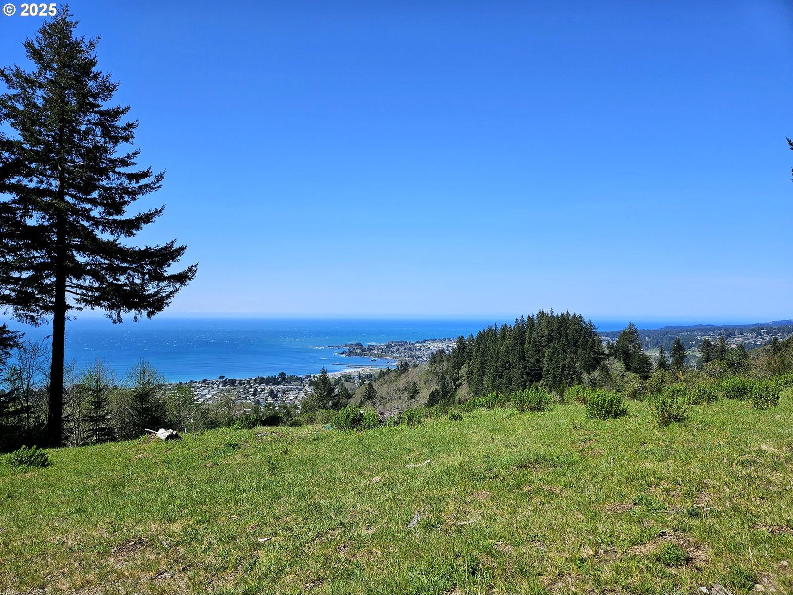 Property Photo:  Harbor Hills Heights 308  OR 97415 