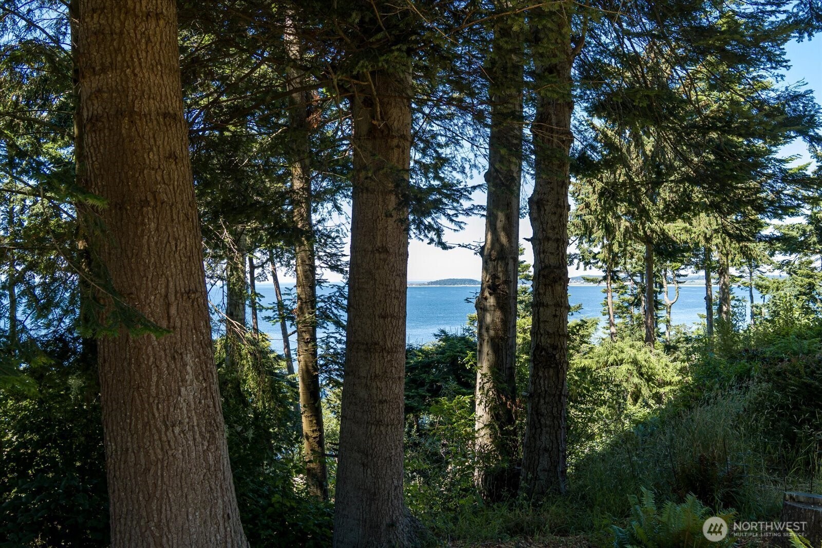 Property Photo:  2140  Inverness Way  WA 98239 