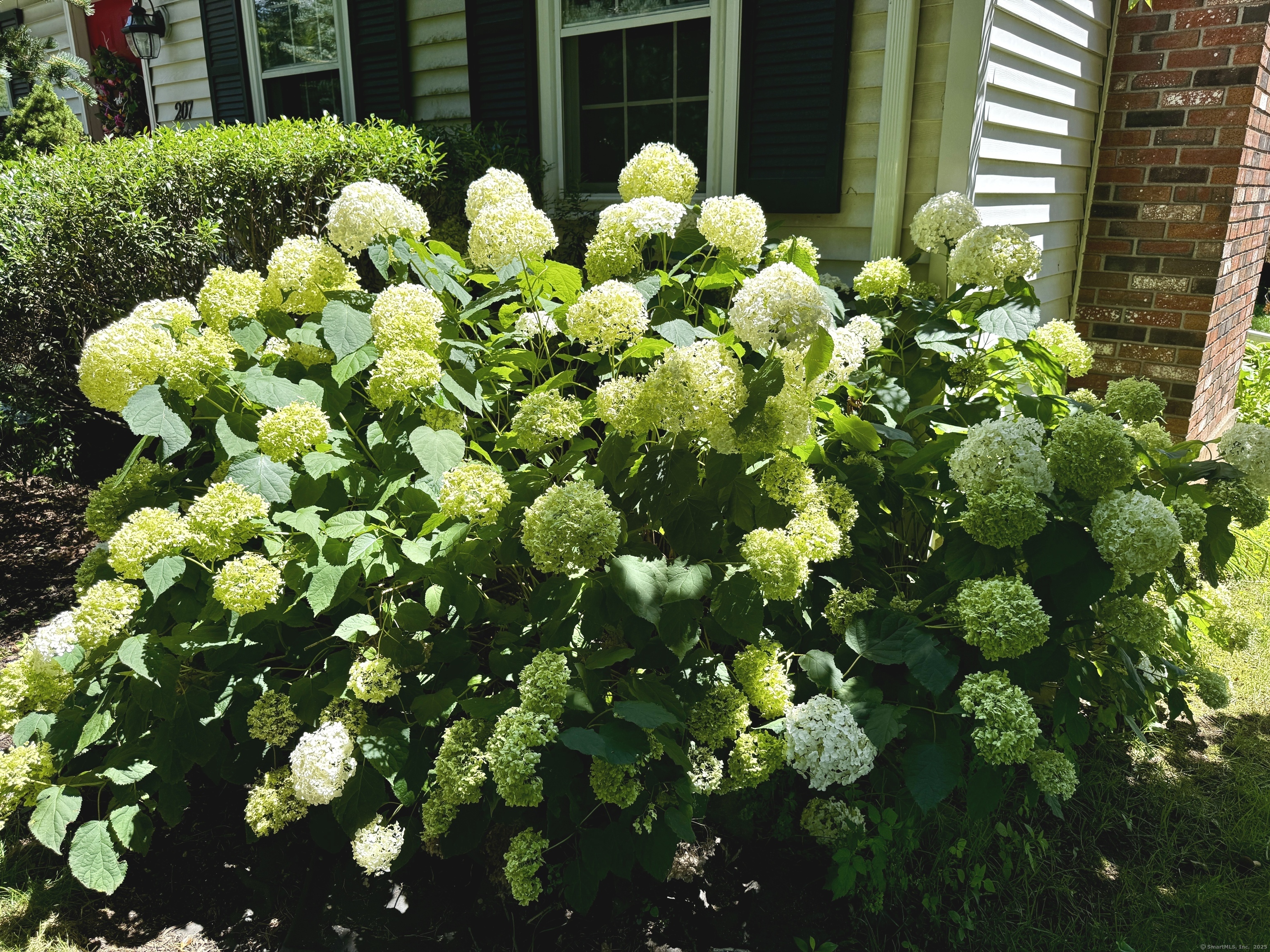 Property Photo:  207 Diane Lane  CT 06010 
