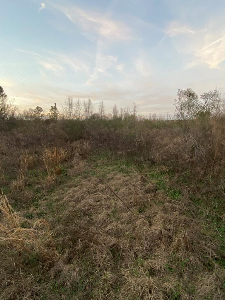 Property Photo:  - Garrett Road  GA 31643 